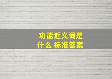 功能近义词是什么 标准答案